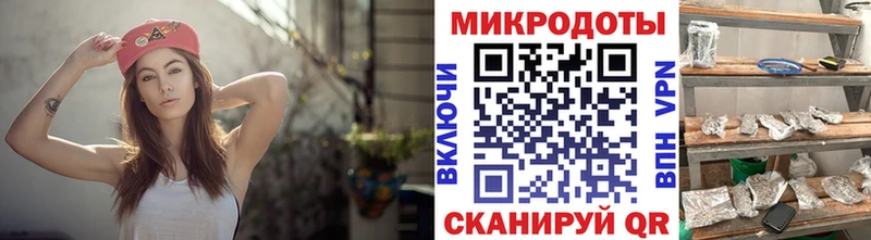 Галлюциногенные грибы Psilocybe  Адыгейск 
