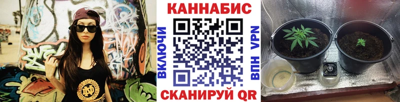 Марихуана сатива Адыгейск